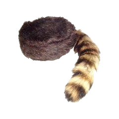 Coonskin Cap