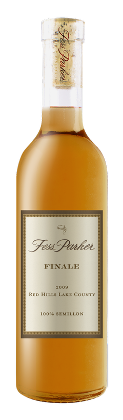 2009 Finale Image