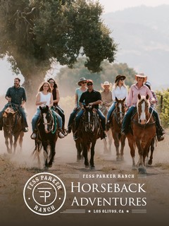 Horseback Adventure Gift Certificate