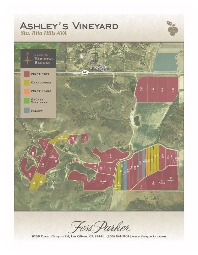 Ashley's Vineyard Map